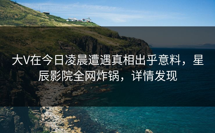 大V在今日凌晨遭遇真相出乎意料，星辰影院全网炸锅，详情发现