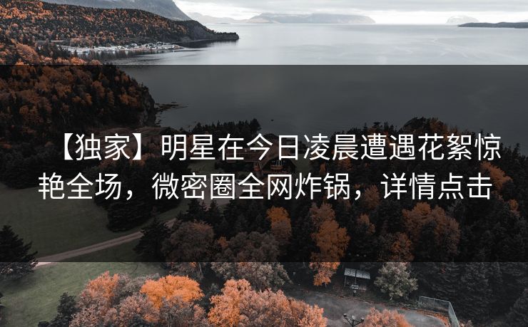 【独家】明星在今日凌晨遭遇花絮惊艳全场，微密圈全网炸锅，详情点击