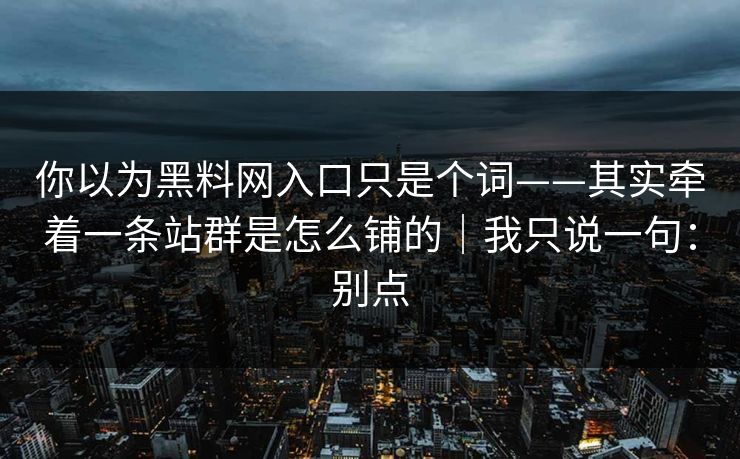 你以为黑料网入口只是个词——其实牵着一条站群是怎么铺的｜我只说一句：别点